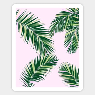 Palm Fronds on Pink Magnet